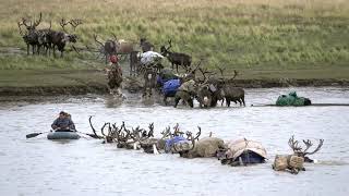 Nenets reindeer herders migrating across the River Seyakha on Arctic Siberia's Yamal Peninsula