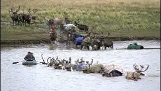 Nenets reindeer herders migrating across the River Seyakha on Arctic Siberia's Yamal Peninsula