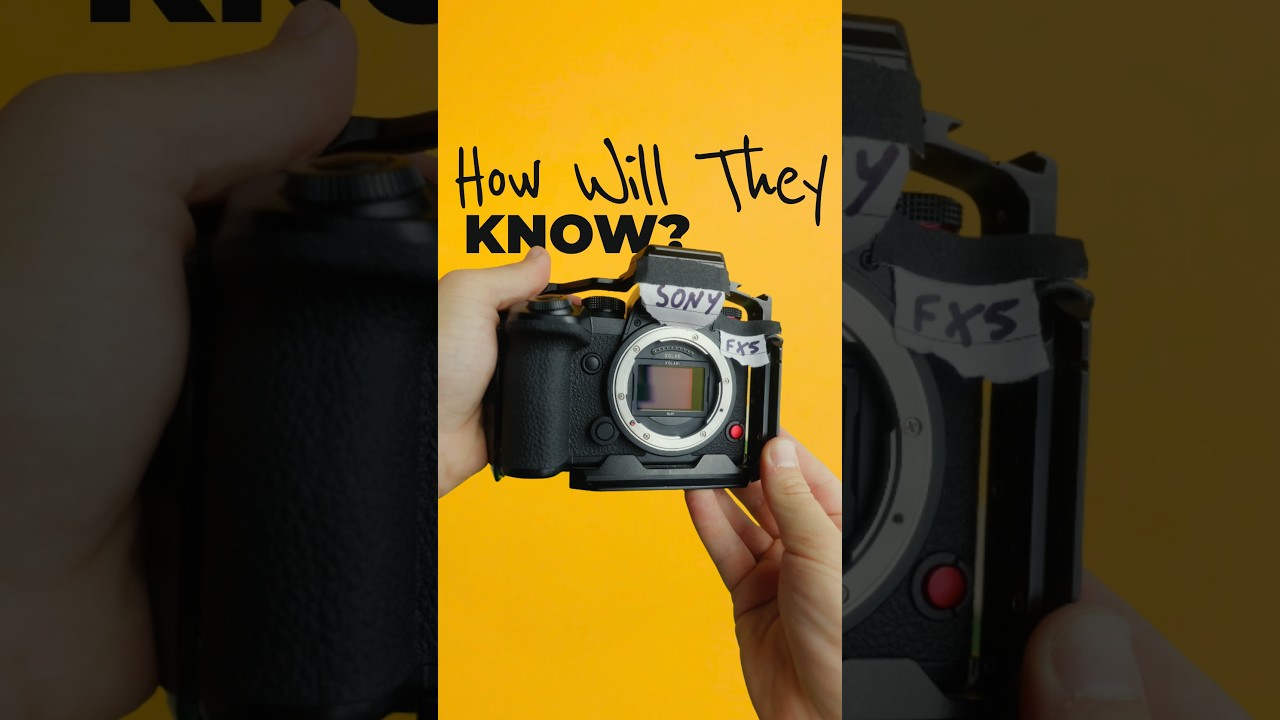 FX5 vs LUMIX S1ii raw thoughts