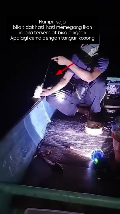 😱😱😱 #mancing #fishing #mancingmania #mancingmantap #ikan #nelayan #shorts #trending