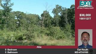 000 CR 3480 Alba TX