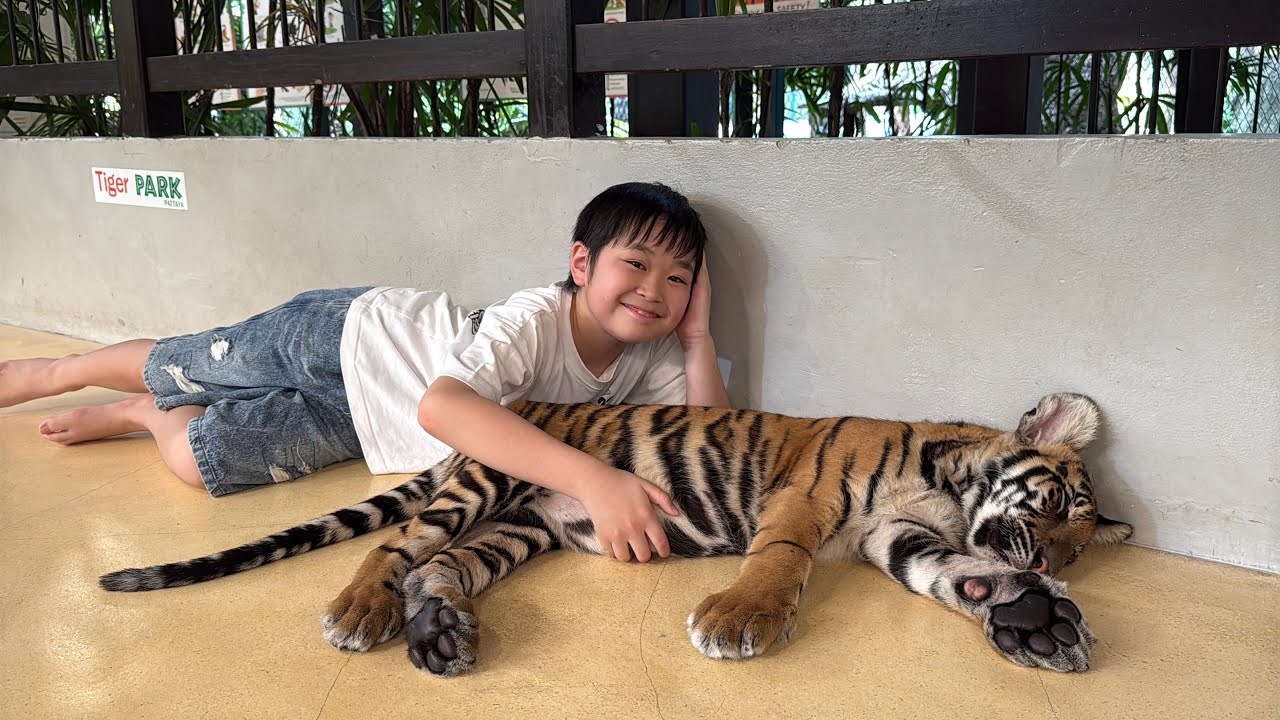 レオくんがいろいろな夢をみてみた！Part3 トイキッズ - YouTube