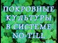 Покровные культуры в системе ноу-тилл Крым