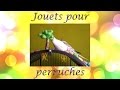 Vie quotidienne jouets pour perruches  o  prix  livraison 