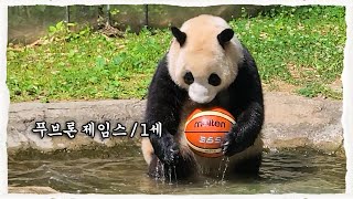 (SUB) A Baby Panda is Playing Basketball 🐼│Panda Family