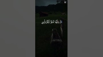 القرآن الكريم