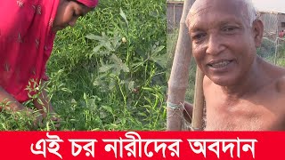 শহরের অসুস্থ মানুষ চরে এসে সুস্থ | চর ভাগ্যকুল | rural | rural life | char | char vaggokul | Y Bee