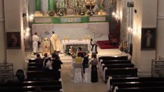 Вінчання у соборі св. Олександра+хор(Католицьке вінчання)