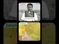 पतियों को छूमंतर करने वाला रोग🤯⚠️Leaf Blight Attack &amp; Control #indianfarmer #shorts