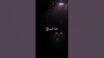 سورة التكاثر  القرآن الكريم راحه نفسيه ❤️