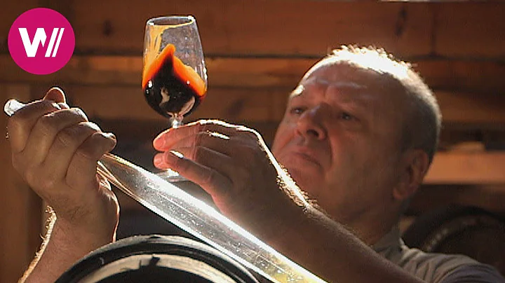 Which is the best vinegar in the world? (2023)