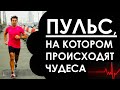 1-й аэробный порог. Пульс, на котором в спорте происходят чудеса