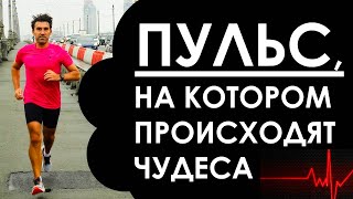 1-й аэробный порог. Пульс, на котором в спорте происходят чудеса