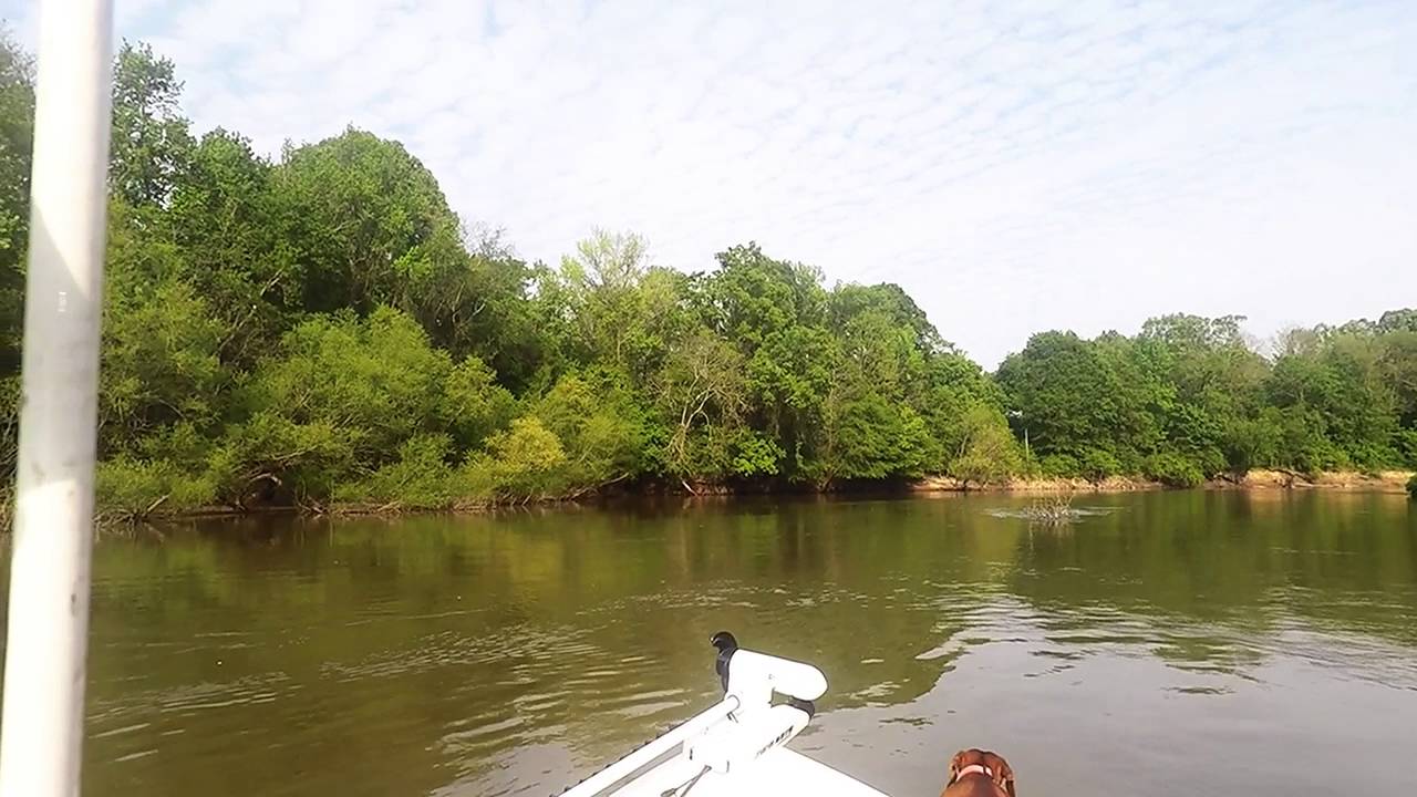 Rollin' On A River - YouTube