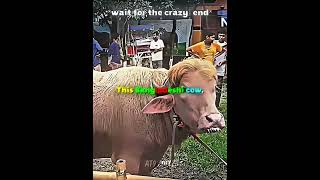 Only Bangali can understand...🇧🇩🔥 #bangladesh #talent #trending #at9 #edit #fyp #viralvideo