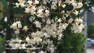 200610B2-1 มุ่งสู่เป้าหมาย ไม่เห็นตัวตน ตอนที่ 1