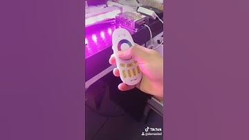 Bañador LED RGB con Controladora / LED Wall Washer with Controller - DEMASLED