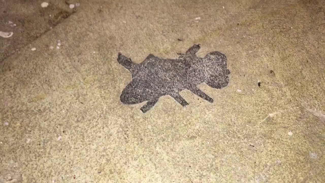 Flypaper grip tape skateboard 1980's