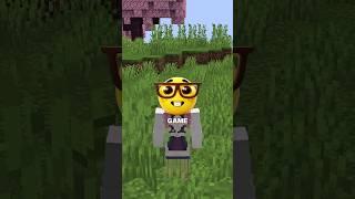 Minecraft Isn’t Just a Kid’s Game…