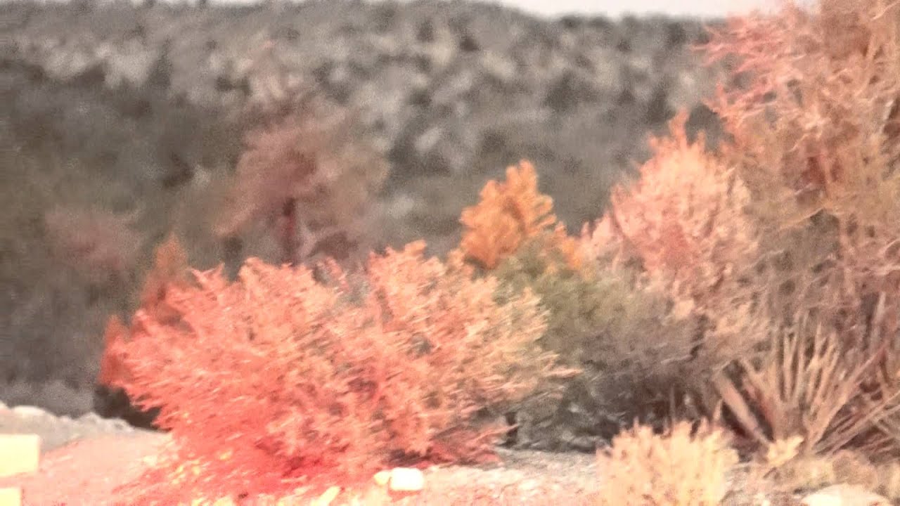 NIGHT VIDEO with color low light night vision camera