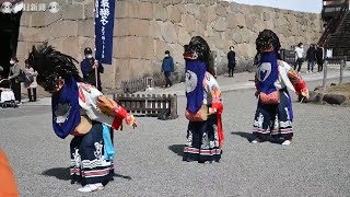 鶴ケ城で春の訪れを告げる「会津彼岸獅子」　福島