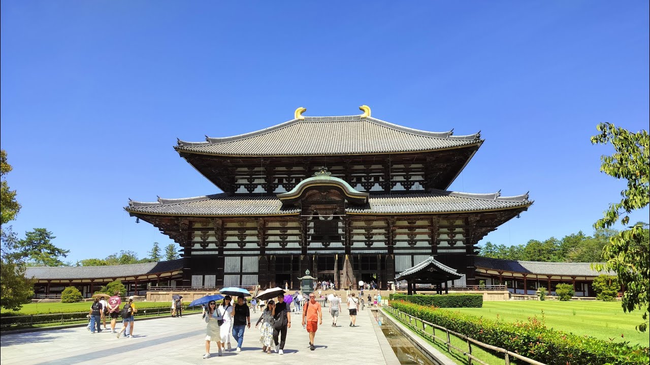Nara , City of dears and shrines 