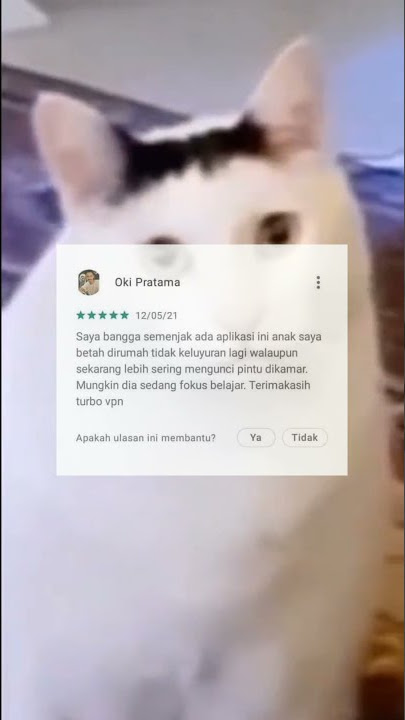 Story'WA Kucing T0l0l lucu