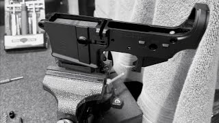 PSA lower receiver parts install