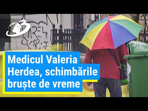 Video: Diversitate Genetică Ridicată Plasmodium Falciparum și Stabilitate Temporală, în Ciuda Eforturilor De Control în Setări Ridicate De Transmitere De-a Lungul Frontierei Internațional