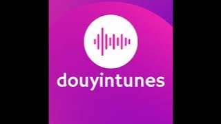 BCD Studio Canyons Popular Douyin Music