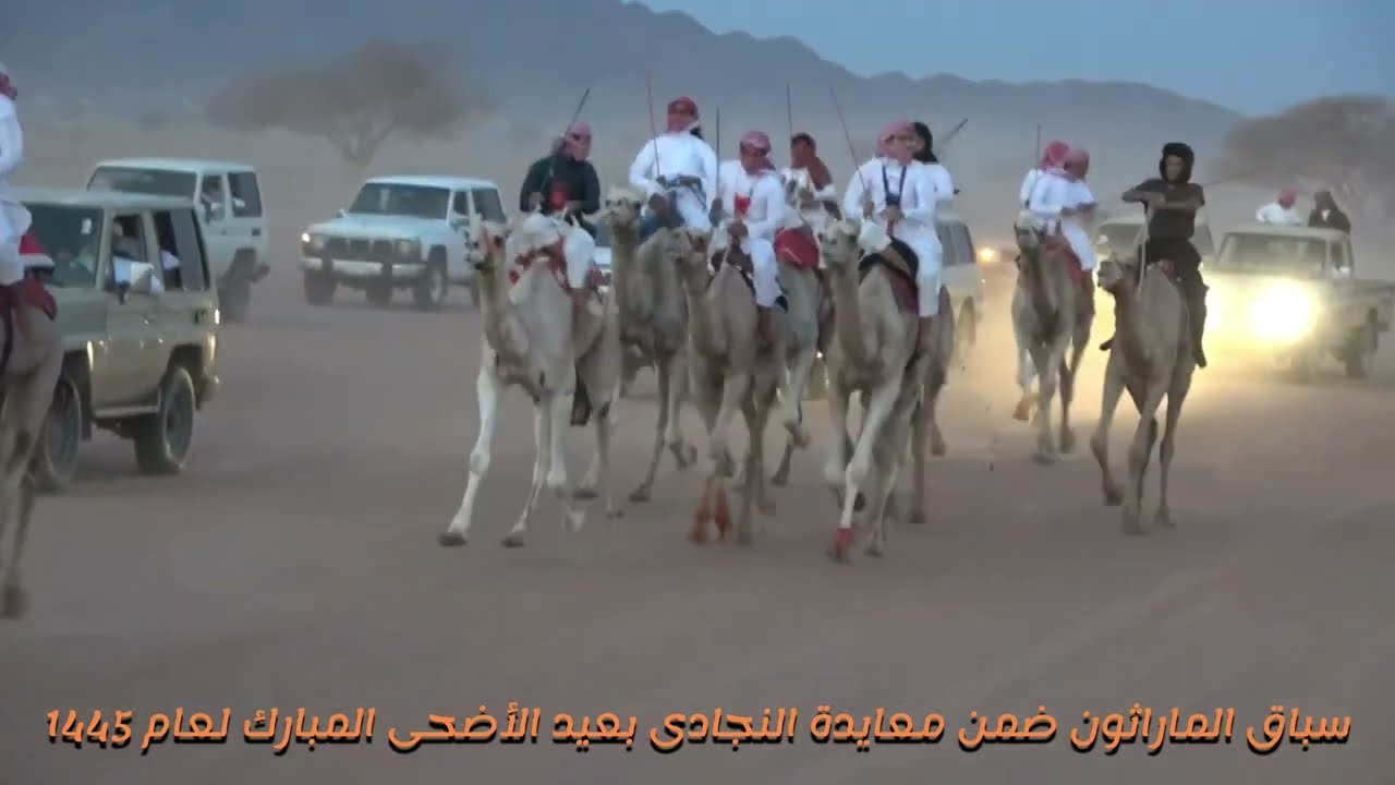 شوط ماراثون 12كم (سمحان)لـ سليمان جبر العقبي 12-12-1445 ضمن معايدة النجادى بعيد الأضحى المبارك