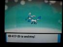 Shiny Eevee evolves into shiny Glaceon pokeradar chaining