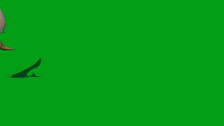 pterodon green screen