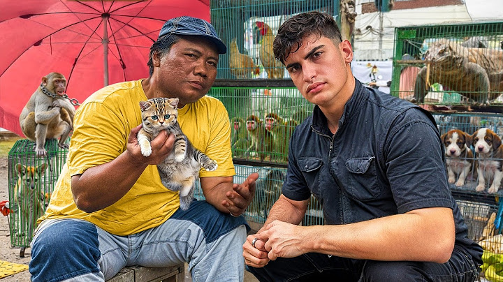 Me INFILTRÉ en un MERCADO de ANIMALES EXÓTICOS