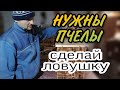 Ловушка для пчел. Как сделать ловчую ловушку для пчел