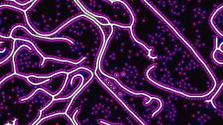 reaction-diffusion experiment pr test 08 prs 543 - spreading white in purple