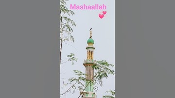 labbaik labbaik ya rasul Allah ♥️♥️ Nuturel birds stories