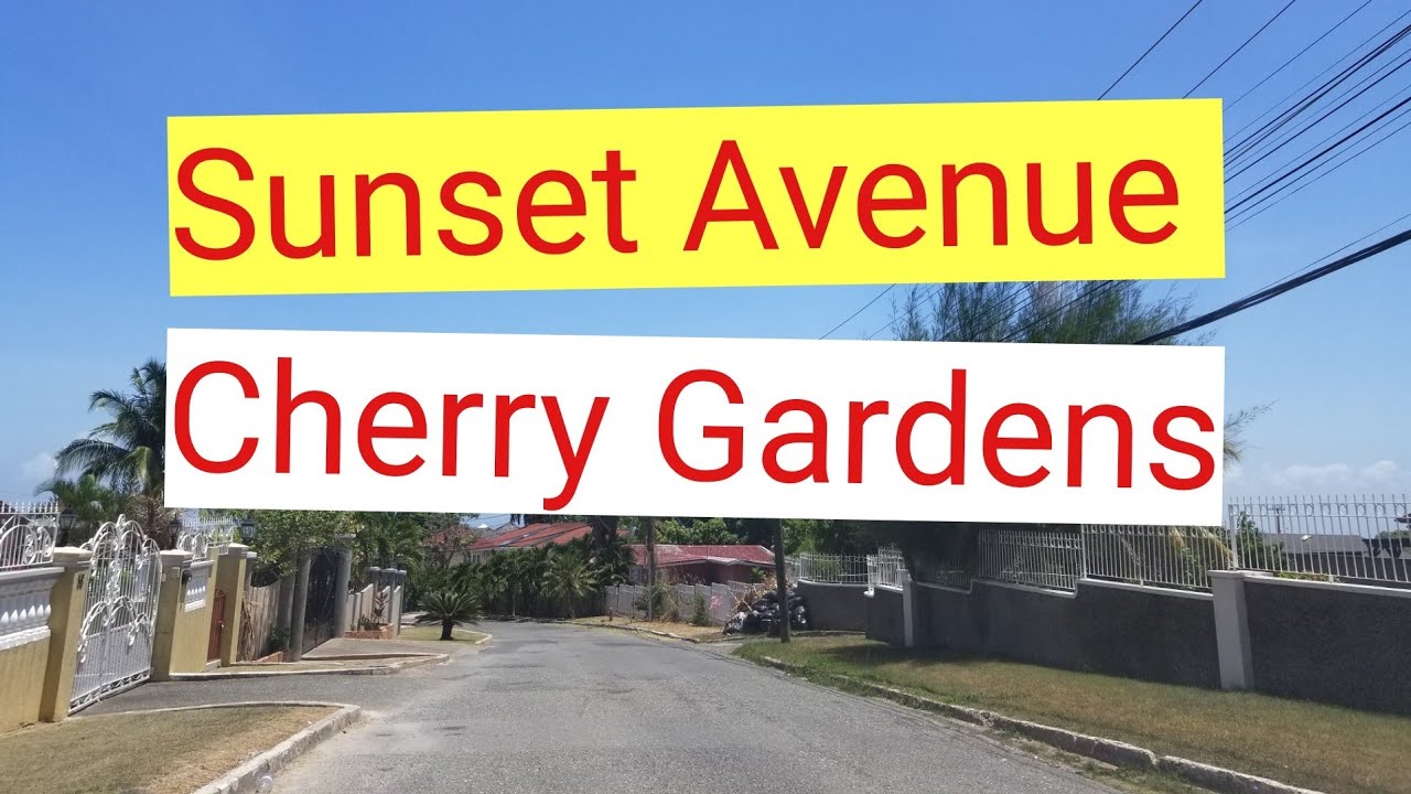 Sunset Avenue | St Andrew
