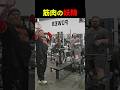 ジムにいる筋肉の妖精たち【世界の筋肉】