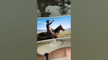 🤠 AI Is the New Frontier