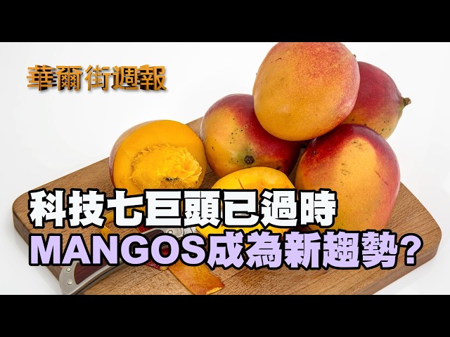 科技七巨頭已過時 MANGOS成為新趨勢?｜太空探索上市推升美股 周五主要股指收高｜華爾街週報 06/12/26 (上)