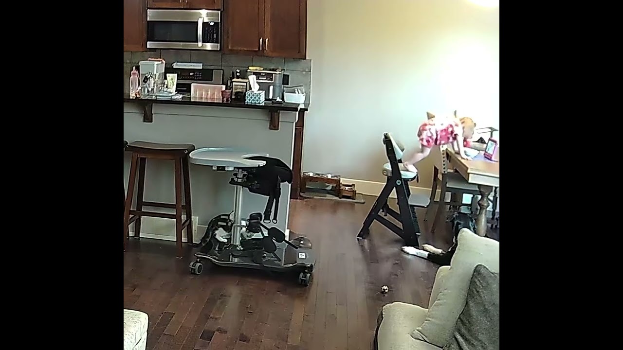 Girl watching iPad climbs out of high chair then falls back and lands on floor Security camera