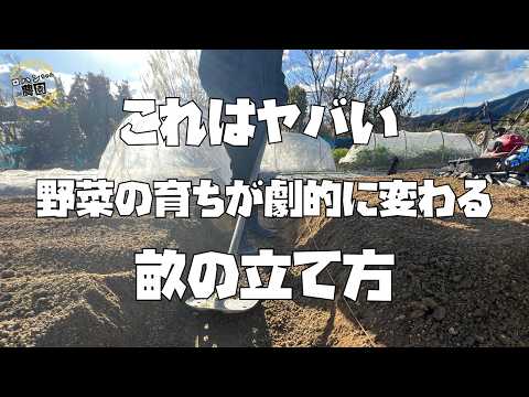 ロハンちゃん農園 - YouTube