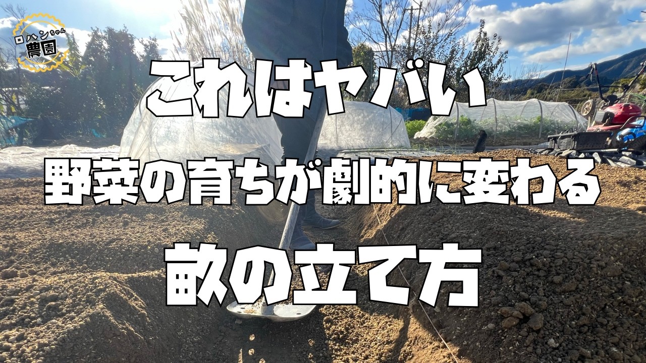 超重要！！野菜がうまく育つかは育てる前から決まってる！？【畝たて