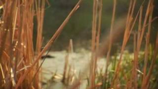 M2 Redrock Test Footage - DVX100a - Naked Boy Productions