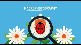 Apps Explainer Video for Easy Macro | Cartoon Animation screenshot 5
