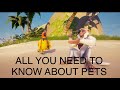 Sea of thieves: Everything you need to know about Pets