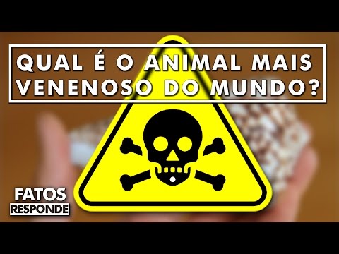 Vídeo: Qual Animal é O Mais Venenoso Do Planeta