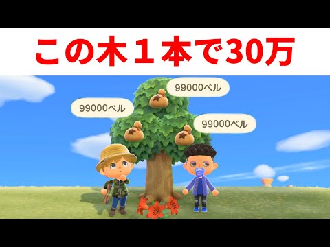 【あつ森 実況】時間操作無し！お金(ベル)を稼ぐ最強金策方法はこれだ！！【あつまれ どうぶつの森】【ぽんすけ】