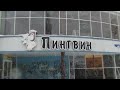 Брошенный Пингвин г. Заречный